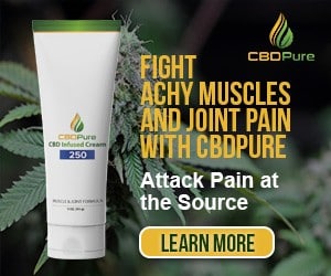 cbd for bjj