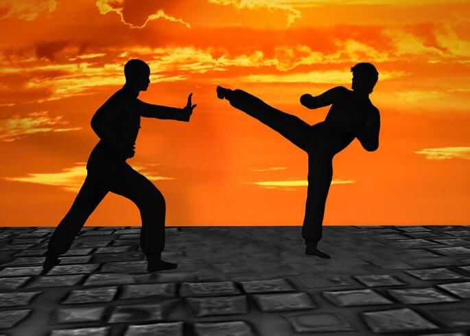 martial arts for fitness